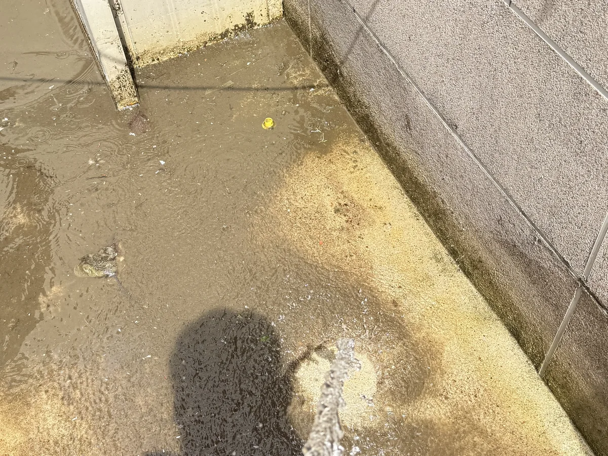 아산시 영인면 배관 관리실·기계실 위생청소 사례 - 행진크린